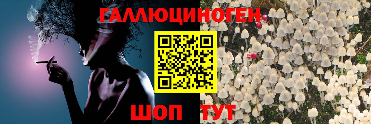 Галлюциногенные грибы мицелий  Галлюциногенные грибы MAGIC MUSHROOMS  Уфа  Вход с VPN 